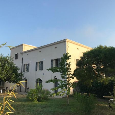 A Loghja Di Cavallo Morto Bonifacio  Zewnętrze zdjęcie