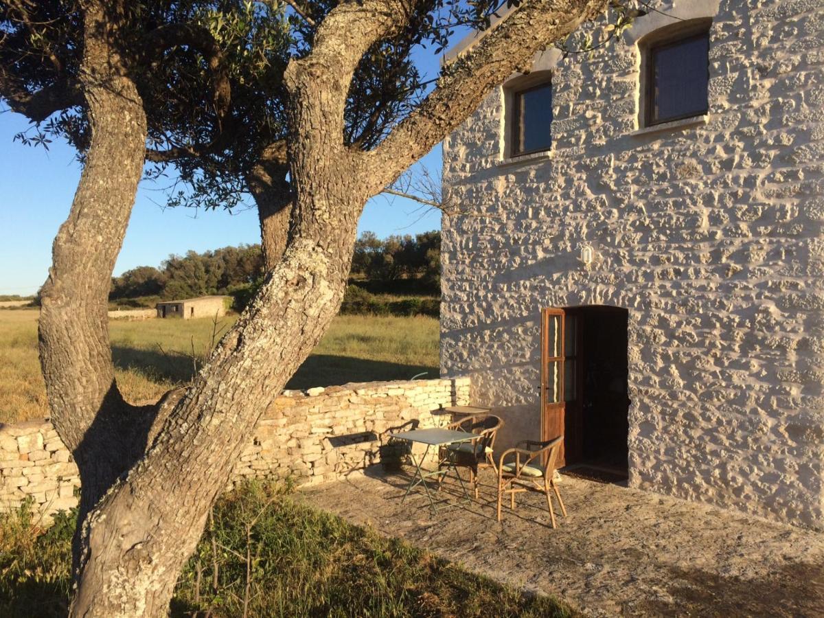 A Loghja Di Cavallo Morto Bonifacio  Zewnętrze zdjęcie