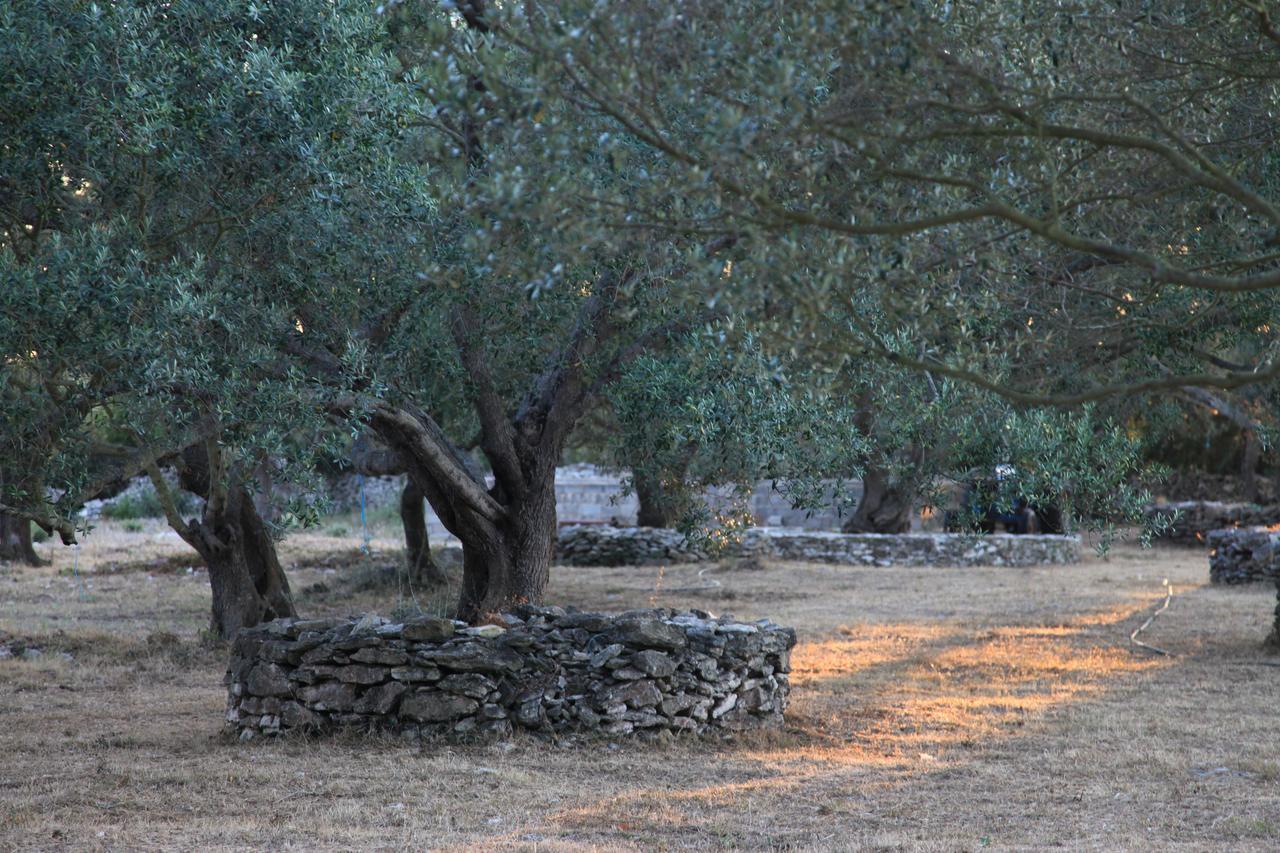 A Loghja Di Cavallo Morto Bonifacio  Zewnętrze zdjęcie