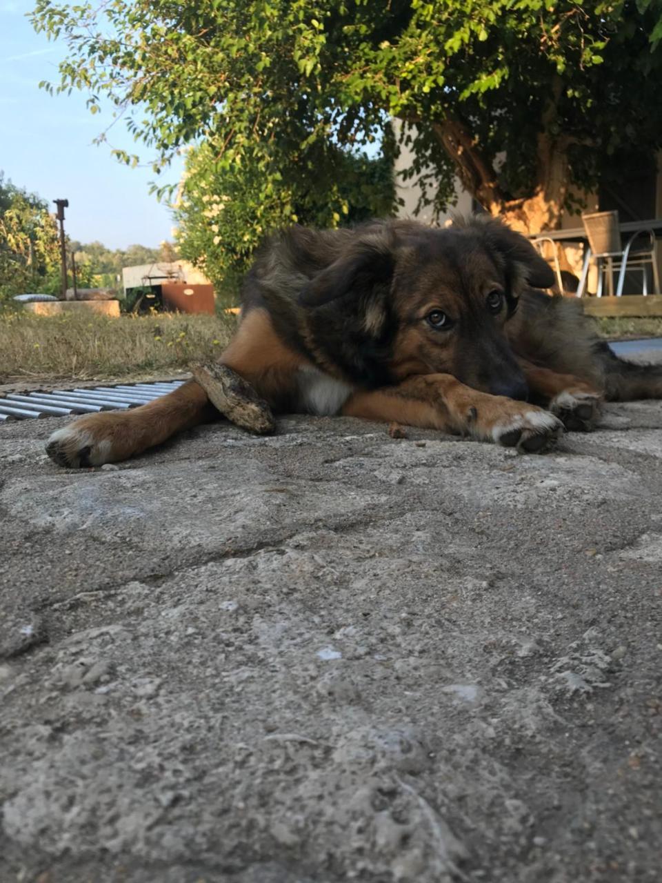 A Loghja Di Cavallo Morto Bonifacio  Zewnętrze zdjęcie