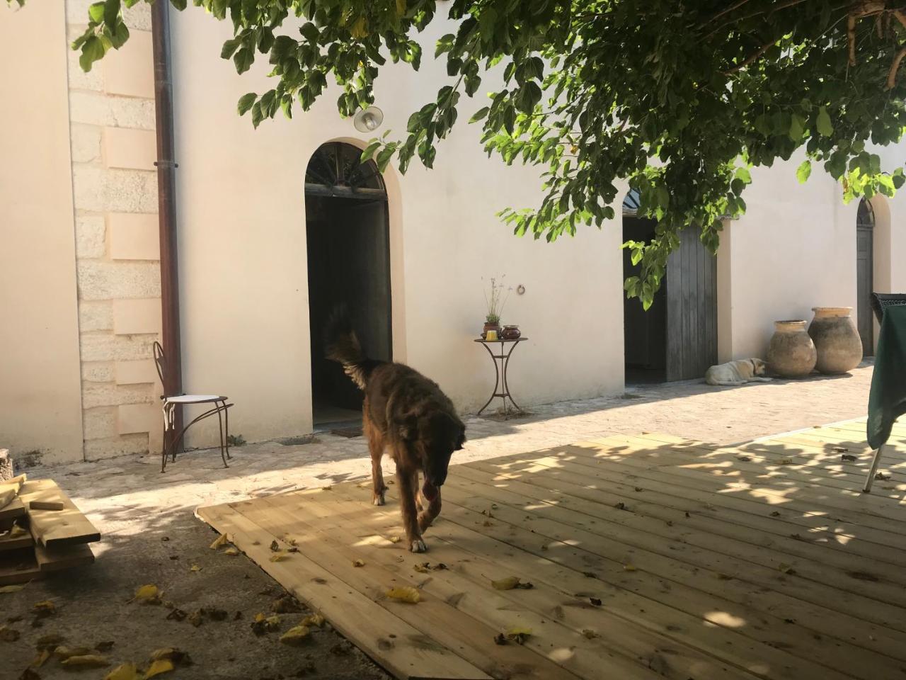 A Loghja Di Cavallo Morto Bonifacio  Zewnętrze zdjęcie